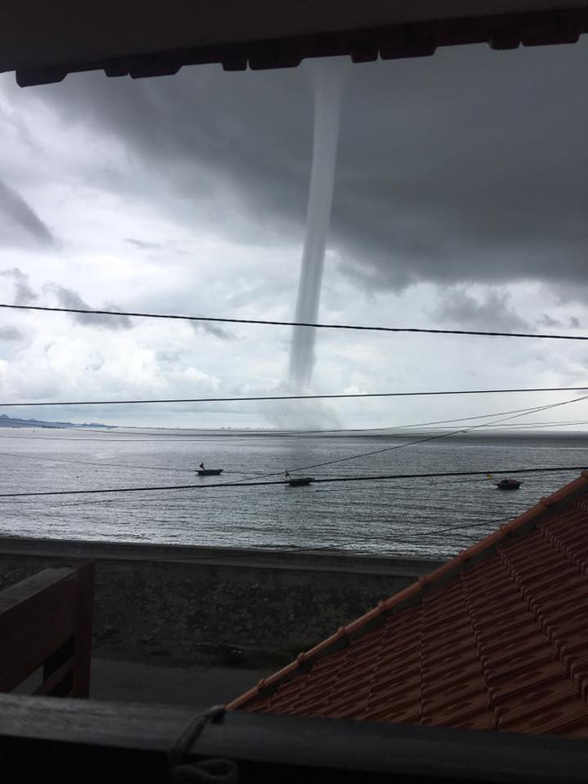 clip voi rong bat ngo xuat hien tai hai phong sau con mua lon sang nay