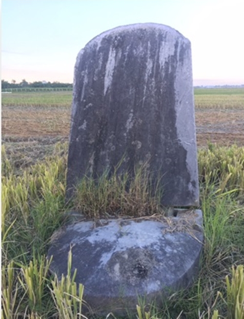 thanh hoa ngoi mo cong chua cam vinh duong nhu bi lang quen