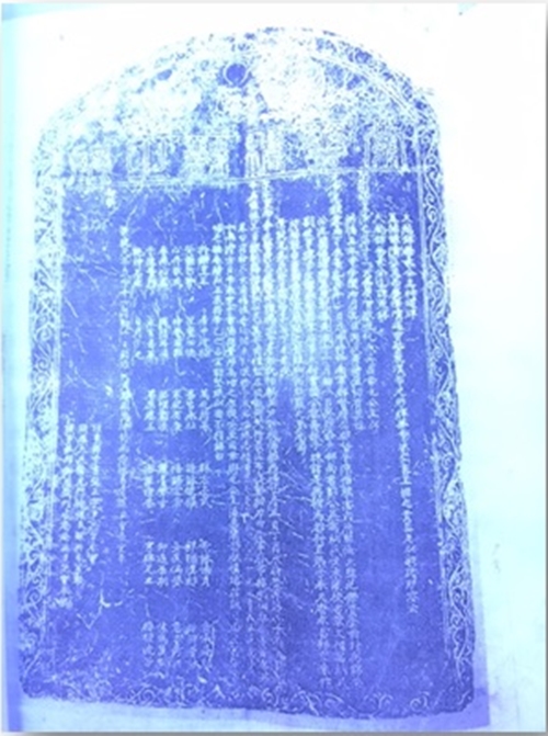 thanh hoa ngoi mo cong chua cam vinh duong nhu bi lang quen