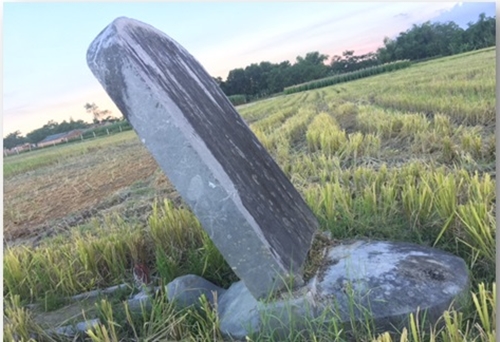 thanh hoa ngoi mo cong chua cam vinh duong nhu bi lang quen