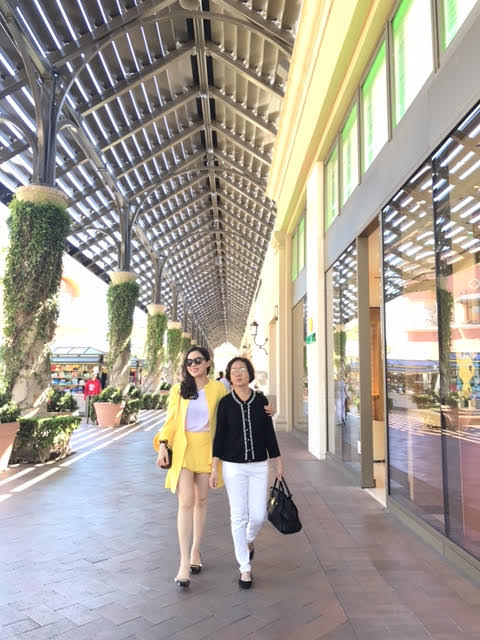 cha ruot ca si giang hong ngoc van cham chi chay taxi