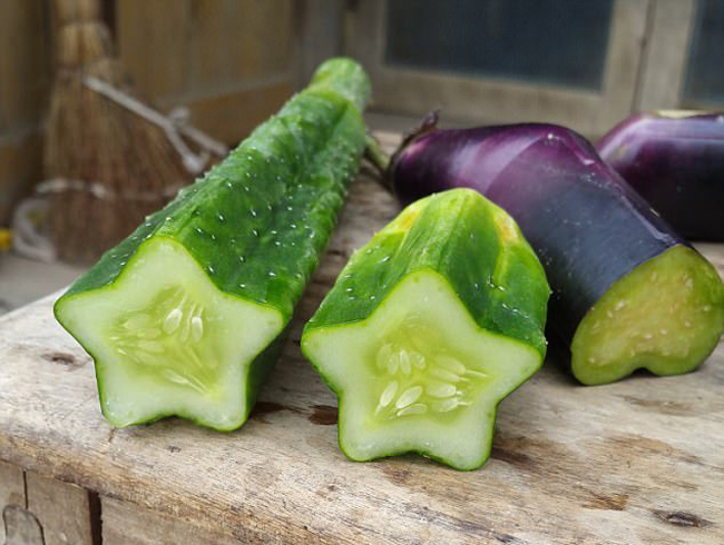 nhung loai qua dot bien co hinh thu ky la toi kho tin