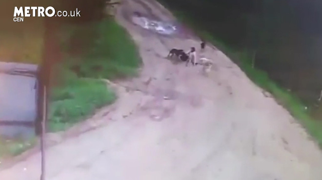 bao ve thuong xuyen cho dan cho hoang an cuoi cung chung lay oan tra on an thit lai ong