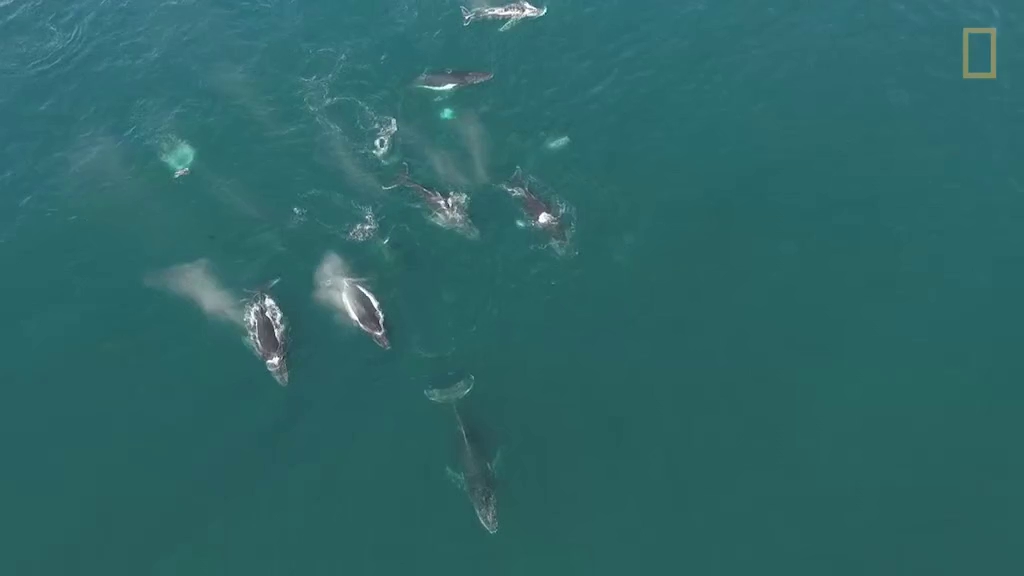 9 bi an khoa hoc van chua co loi giai