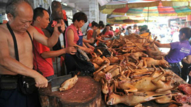du co tin bi cam hang nghin chu cho van bi giet thit cong khai truoc le hoi thit cho trung quoc