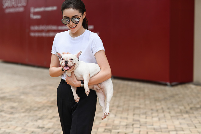 ky duyen bang di an van sanh dieu goi cam di dao pho