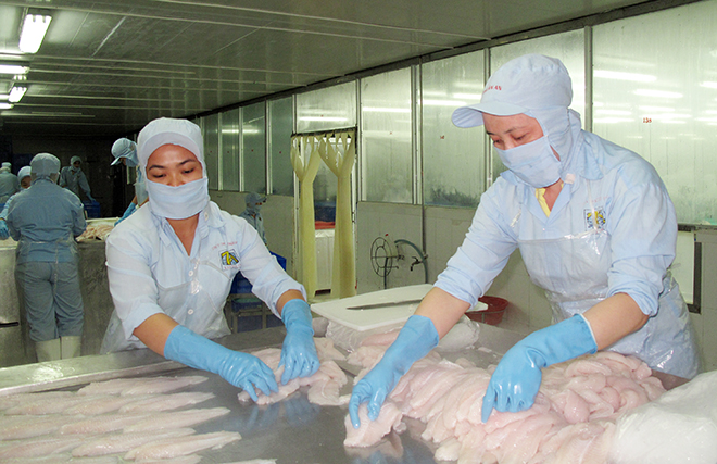 ca tra dong lanh van dat khach o chau au