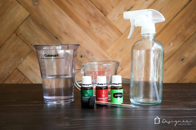 khong can hoa chat van co the duoi sach bong lu bo kien gian trong nha ban chi can duy nhat mot thu