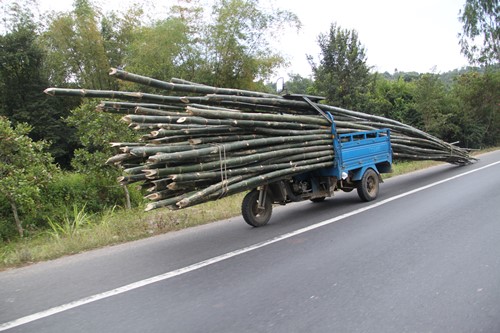 hoang hot tinh trang vi pham trat tu atgt nhin tu phong su anh