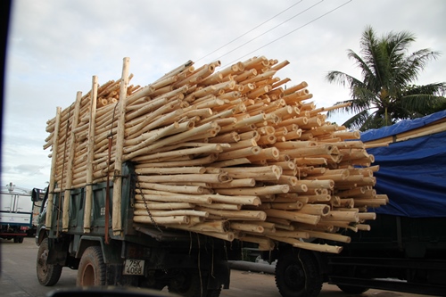 hoang hot tinh trang vi pham trat tu atgt nhin tu phong su anh