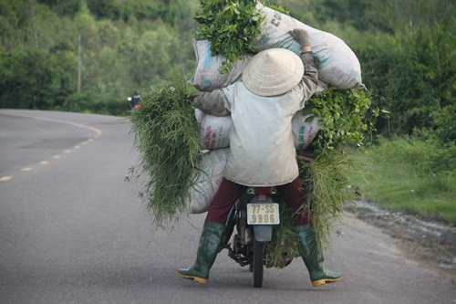 hoang hot tinh trang vi pham trat tu atgt nhin tu phong su anh