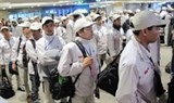 ban khoan voi cum tu tim nguon hang cua bo truong dao ngoc dung