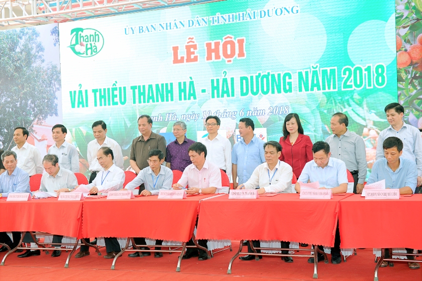 hai duong can nang cao hieu qua kinh te cho cay vai