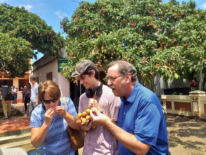 hai duong can nang cao hieu qua kinh te cho cay vai