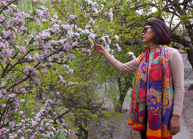 kham pha mua xuan hien hoa cua pakistan
