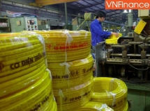 Không đăng ký giao dịch chứng khoán, Cơ điện Trần Phú bị UBCKNN xử phạt 350 triệu đồng