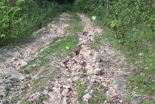 vinh phuc dan phan anh thieu minh bach trong du an duong len den tho that vi dai vuong