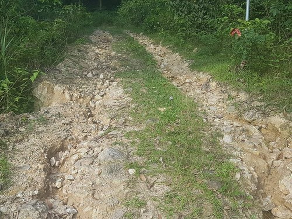 vinh phuc dan phan anh thieu minh bach trong du an duong len den tho that vi dai vuong