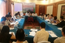 Truyền thông về phòng, chống bạo lực gia đình còn hạn chế