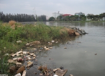 ba nguyen thi nhu loan thong tin qcg da chuyen nhuong 100 du an phuoc kien cho sunny land la hoan toan that thiet