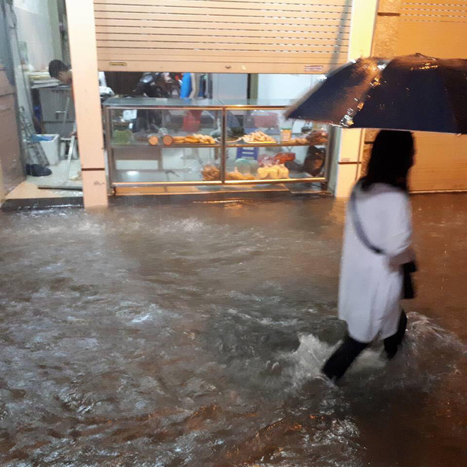 ha noi mua lon bat ngo doi xuong pho am thuc tong duy tan ngap nang