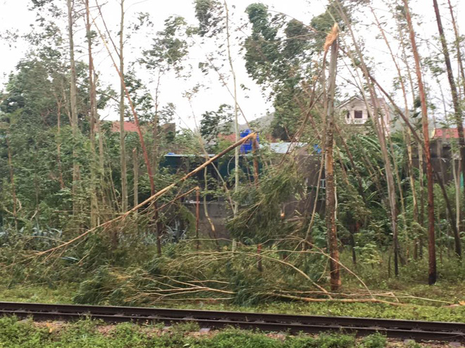 nhieu chuyen tau bi anh huong phai dung chuyen khi con bao so 2 di qua