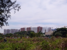 chuyen gia de nghia trang lon nhat tphcm thanh cong vien khu do thi can thoi gian rat dai