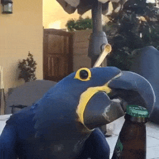 14 cach mo nap chai dinh khong can chinh cua cac thanh xiu