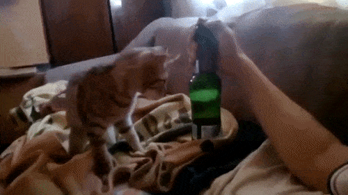 14 cach mo nap chai dinh khong can chinh cua cac thanh xiu