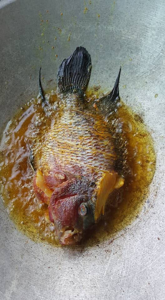 anh chang choi sang mua ca la han gia hon chuc trieu dong ve ran an choi