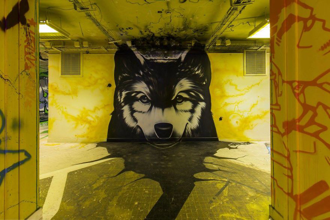 cac hoa si graffiti bien ky tuc xa bo hoang thanh trien lam tranh nghe thuat