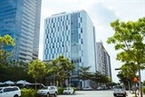 buoc phat trien ben vung cua dn co gia tri thuong hieu lon nhat viet nam