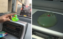 su that dang sau buc hinh con vit tan chay tren xe o to khien cu dan mang day song