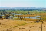 Hiện tượng El Nino có khả năng tăng tần suất trong các năm tới