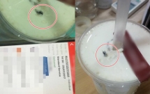 da nang khach hang phan anh coc tra sua gong cha co ruoi dai dien cua hang len tieng