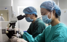 3 phut cung luat su de thue co vi pham phap luat khong