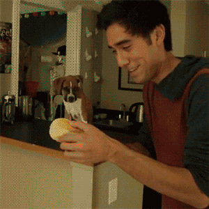 16 man bieu dien vi dieu cua cac ao thuat gia nghiep du