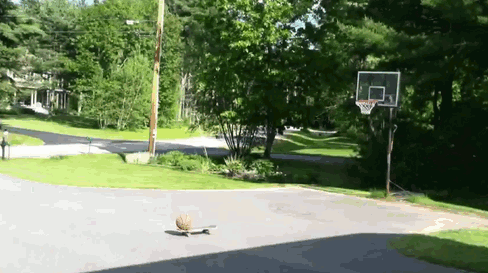 14 pha bieu dien dinh cao cua cac cao thu hanh dong