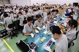 Chuyện người Nghệ An lao động “chui