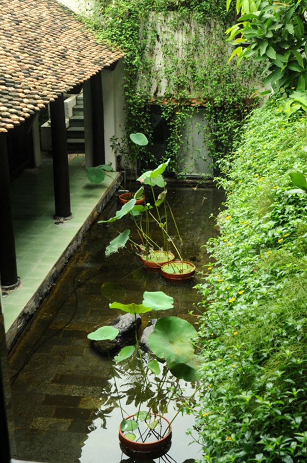 can canh biet thu trieu usd tai san hiem hoi hong nhung cong khai