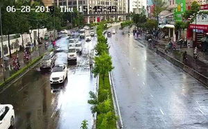 chu tich hdnd tphcm nghen loi noi voi cong nhan thoat nuoc toi xin loi anh