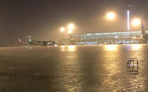 chu tich hdnd tphcm nghen loi noi voi cong nhan thoat nuoc toi xin loi anh