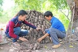 to chuc esperance acti thuy si xay cau giup dan tai vung song nuoc long an