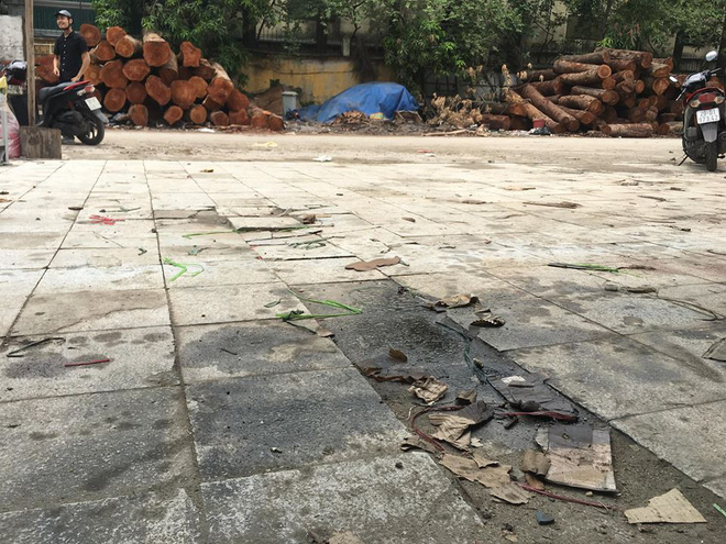 vu co gai bi lot do do mam tom va dau luyn len nguoi nguoi phu nu di sh giang co chiec vi voi co gai va noi no cho may bao nhieu tien