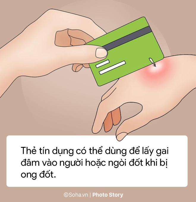 photo story 8 meo hay khong ngo tu cac vat dung hang ngay