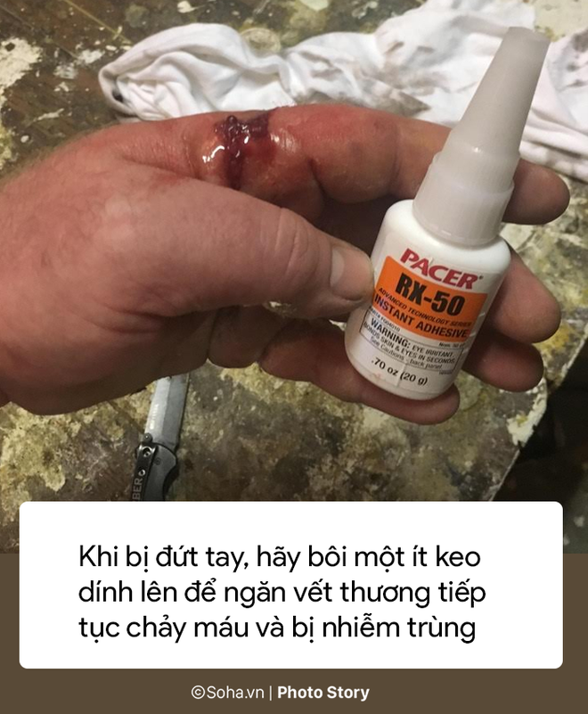 photo story 8 meo hay khong ngo tu cac vat dung hang ngay