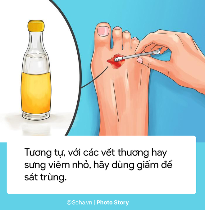 photo story 8 meo hay khong ngo tu cac vat dung hang ngay