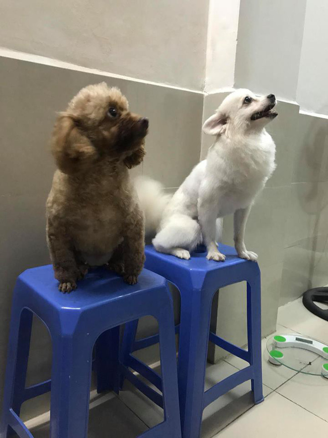 danh cuoc dt phap vo dich trong con say thanh nien hanh dong day toi loi voi cho cung