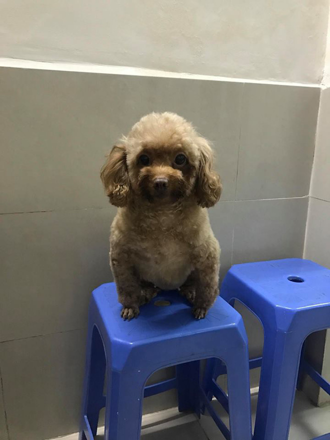 danh cuoc dt phap vo dich trong con say thanh nien hanh dong day toi loi voi cho cung