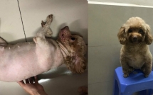 danh cuoc dt phap vo dich trong con say thanh nien hanh dong day toi loi voi cho cung